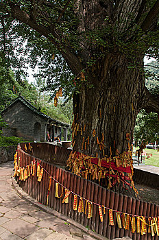 cách đánh đề 3 càng