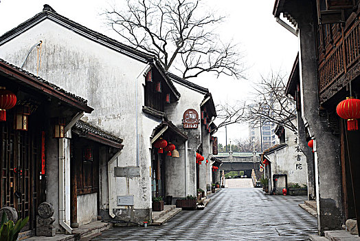 xem rong bach kim