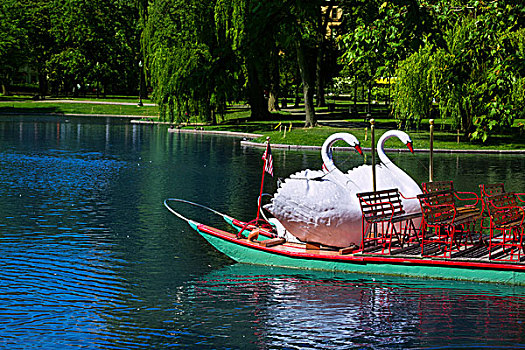 soi cau 369