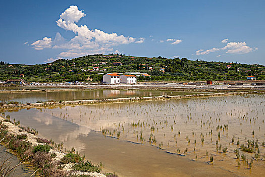 soi cau xo so 568