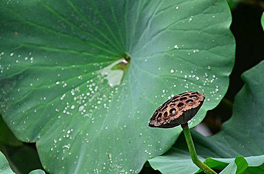 cách đánh đề hiệu quả