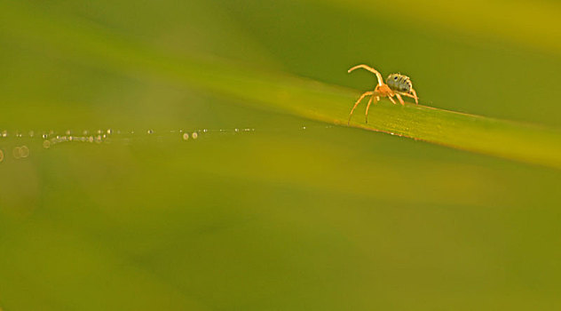 cách đánh lô trượt