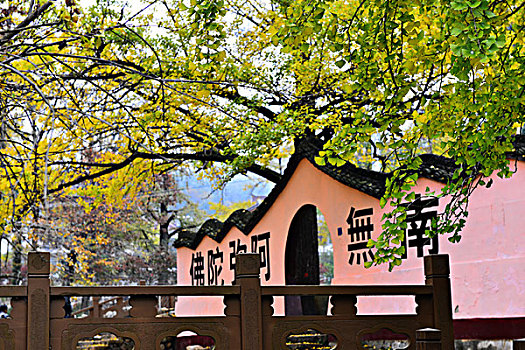 soi cầu bach thủ mb