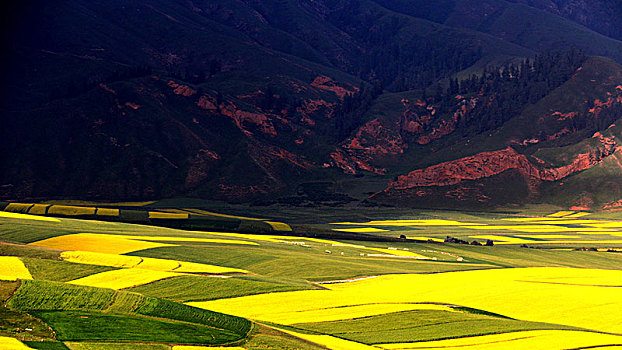 du doan xo so minh ngoc