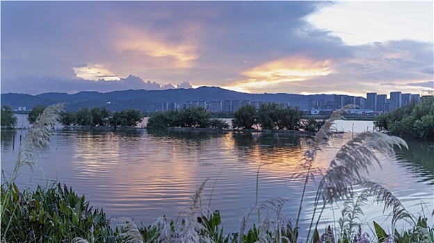 bach thu kep khung 2 ngay