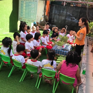 Khám phá  những loài hoa trong sân Trường em